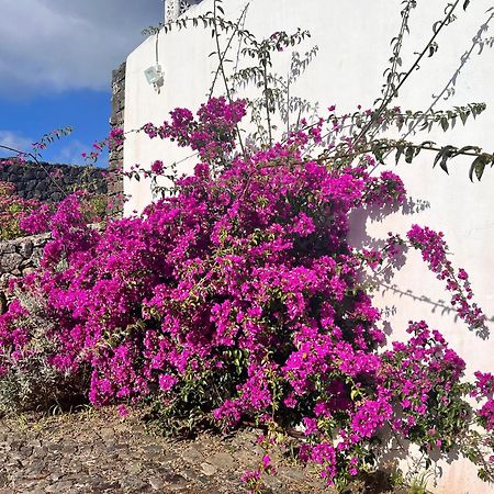 Casa Do Becco Villa Angra do Heroísmo Екстериор снимка