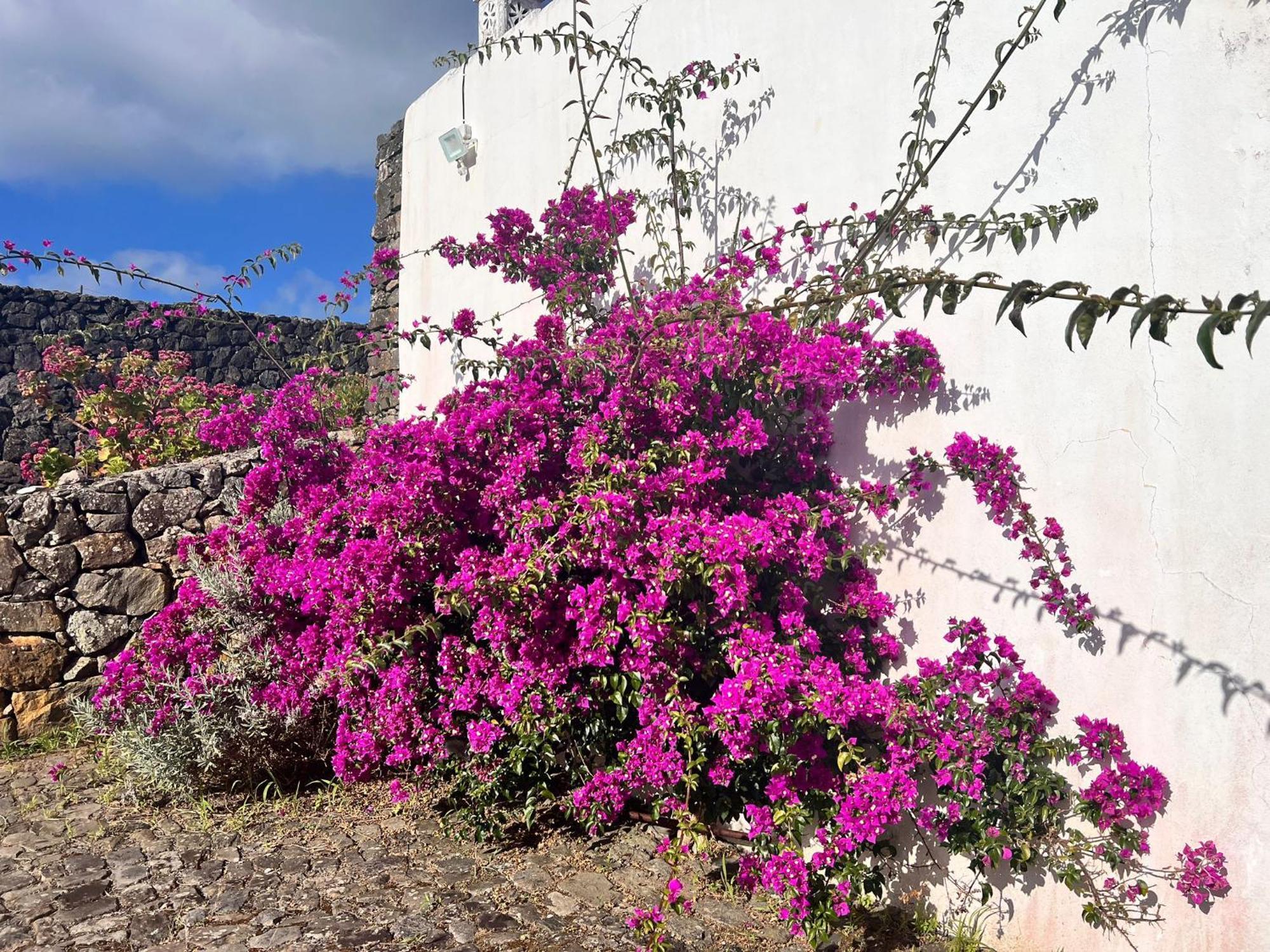 Casa Do Becco Villa Angra do Heroísmo Екстериор снимка